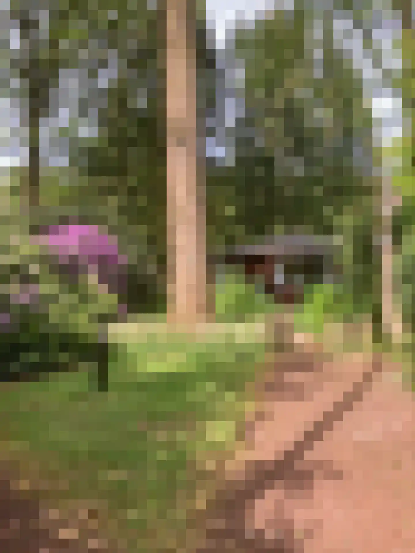 Hooiweg 29 A 15 Garderen thumbnail 27