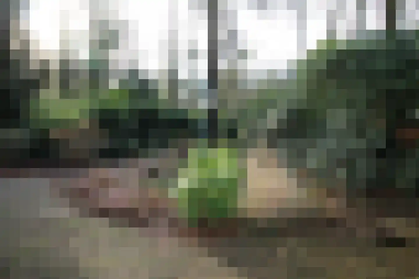 Hooiweg 29 A 15 Garderen thumbnail 32