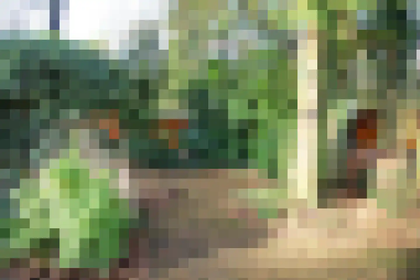Hooiweg 29 A 15 Garderen thumbnail 33