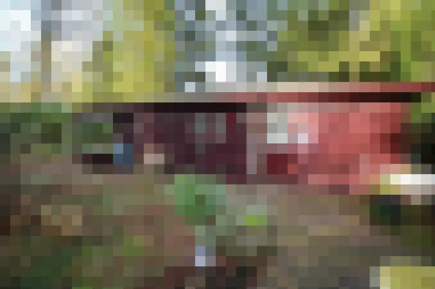 Hooiweg 29 A 15 Garderen thumbnail 37