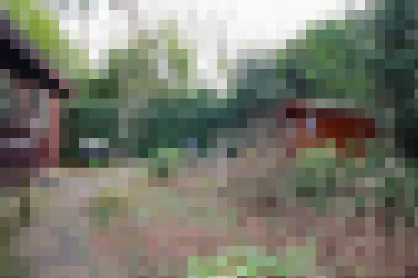 Hooiweg 29 A 15 Garderen thumbnail 38