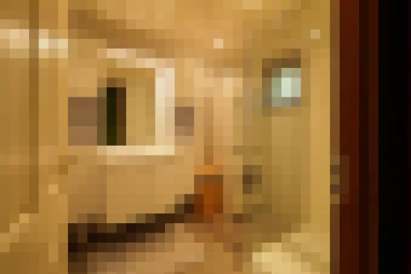 Hooiweg 29 A 17 Garderen thumbnail 10
