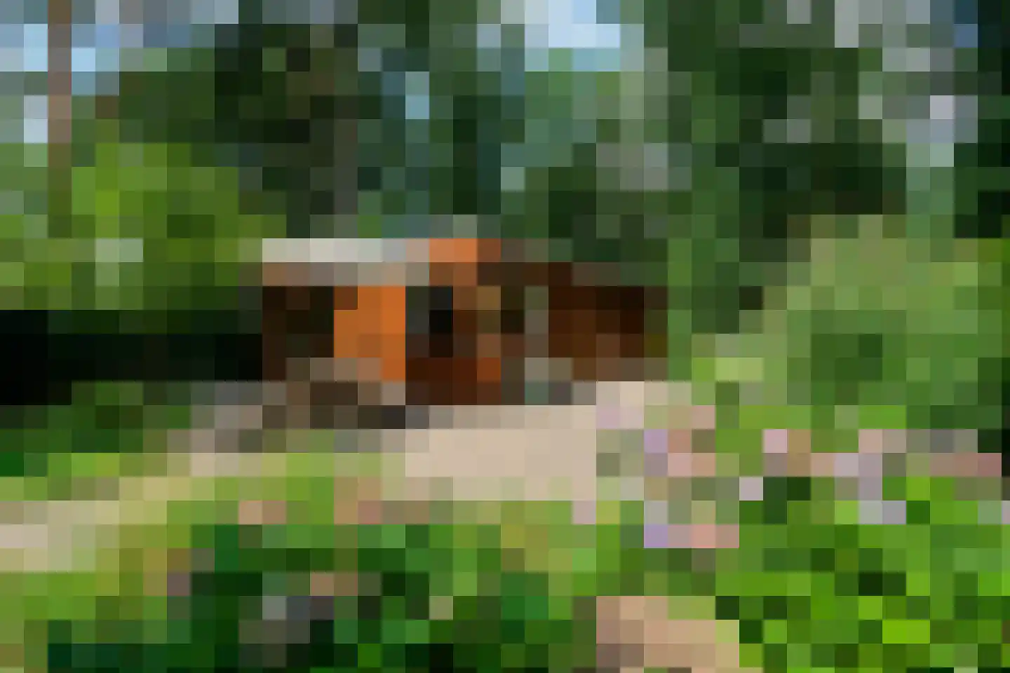 Hooiweg 29 A 17 Garderen thumbnail 12