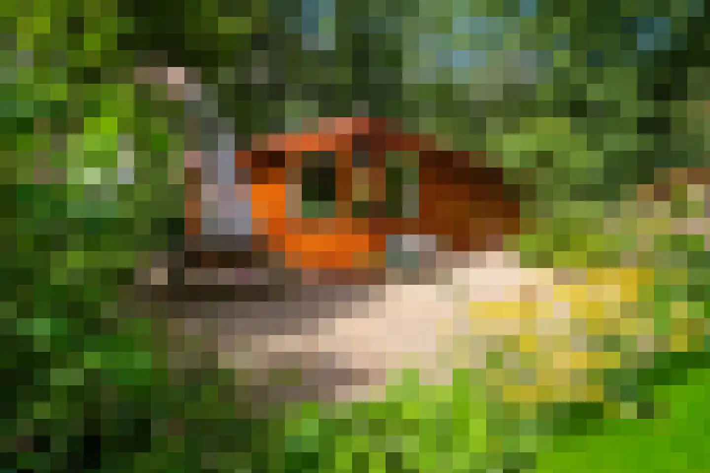 Hooiweg 29 A 17 Garderen thumbnail 16