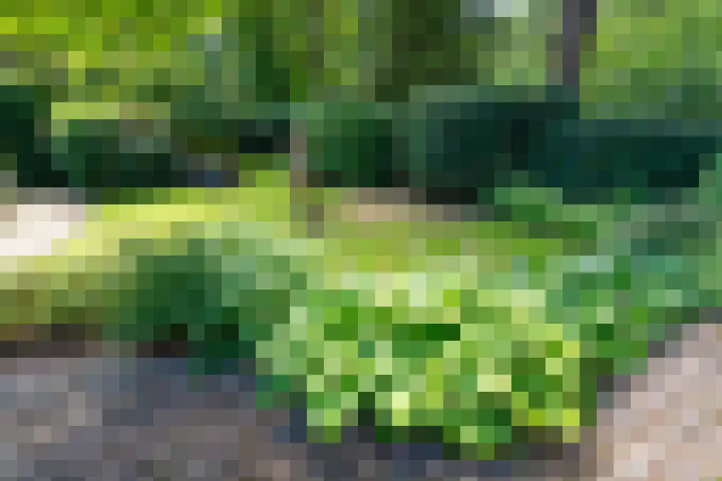 Hooiweg 29 A 17 Garderen thumbnail 23