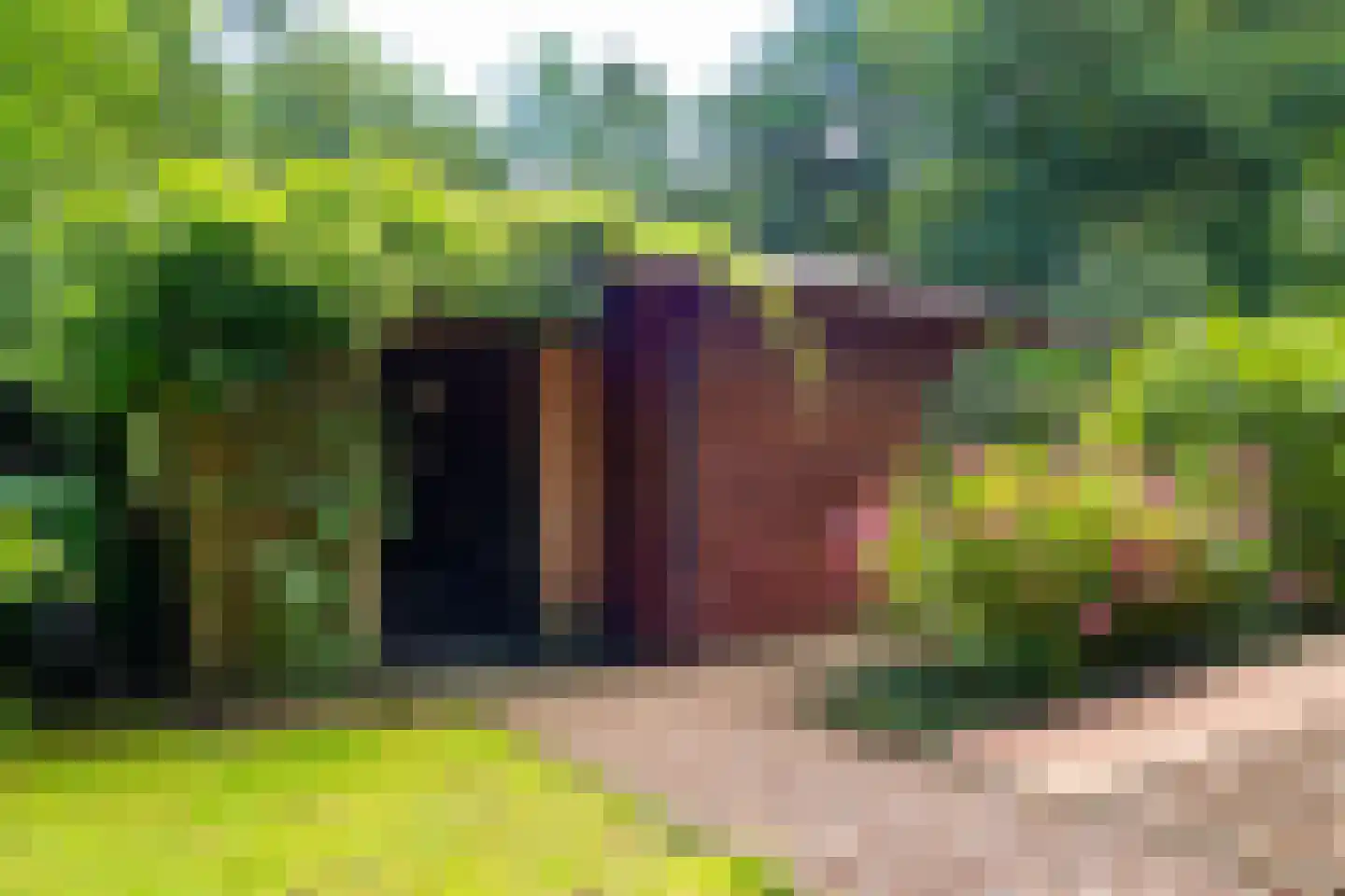 Hooiweg 29 A 17 Garderen thumbnail 24