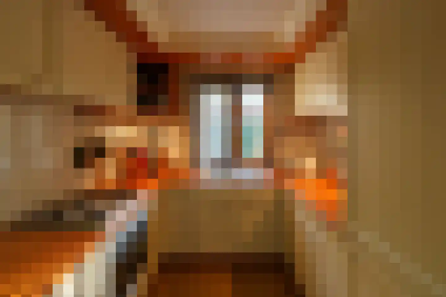 Hooiweg 29 A 17 Garderen thumbnail 8