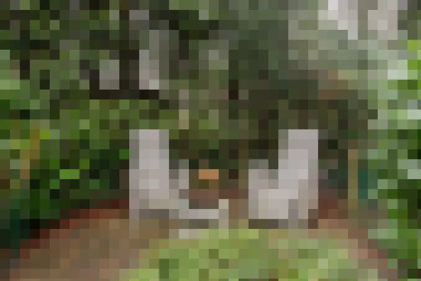 Hooiweg 29 A 38 Garderen thumbnail 20