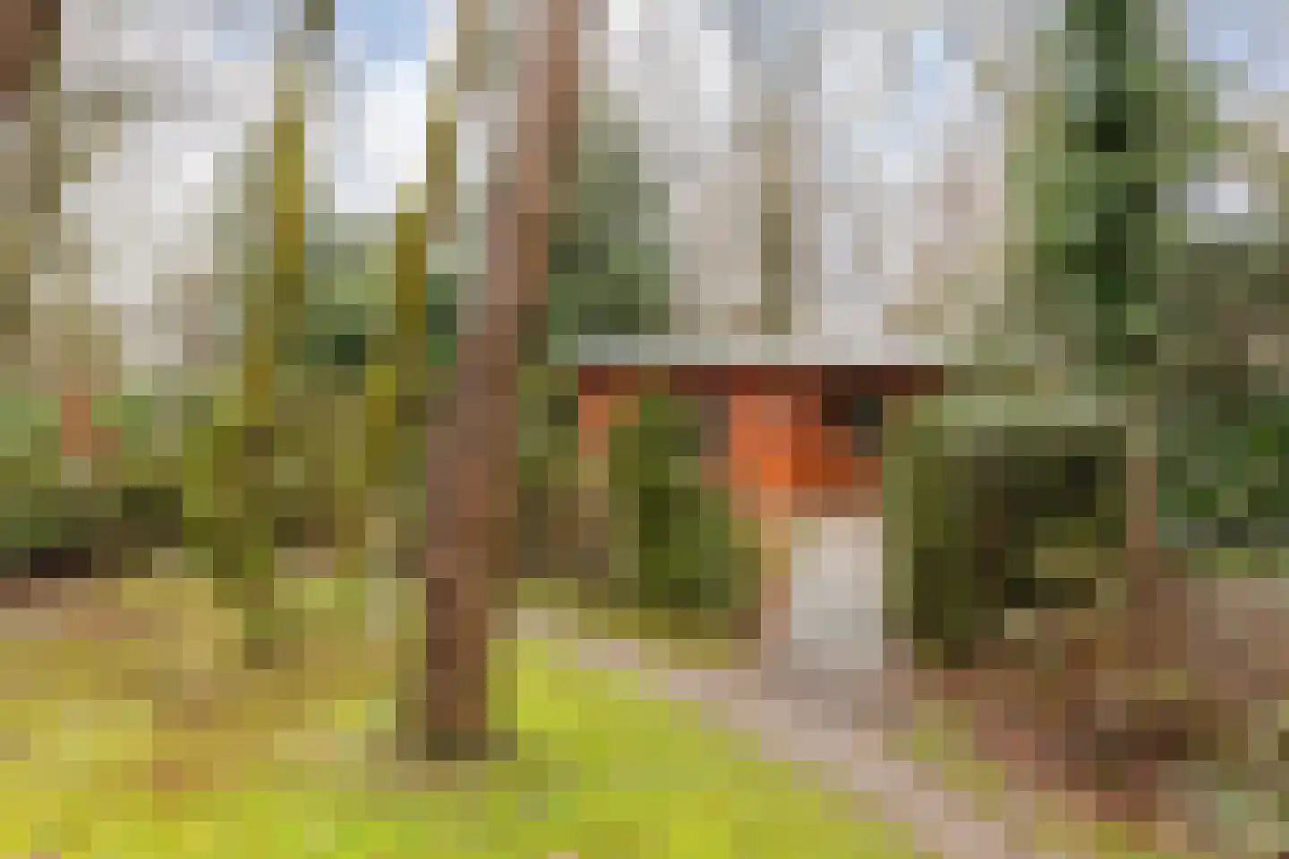 Hooiweg 29 A 38 Garderen thumbnail 22