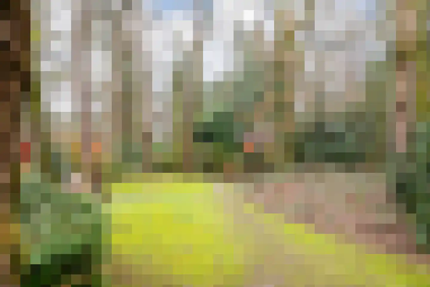 Hooiweg 29 A 38 Garderen thumbnail 23