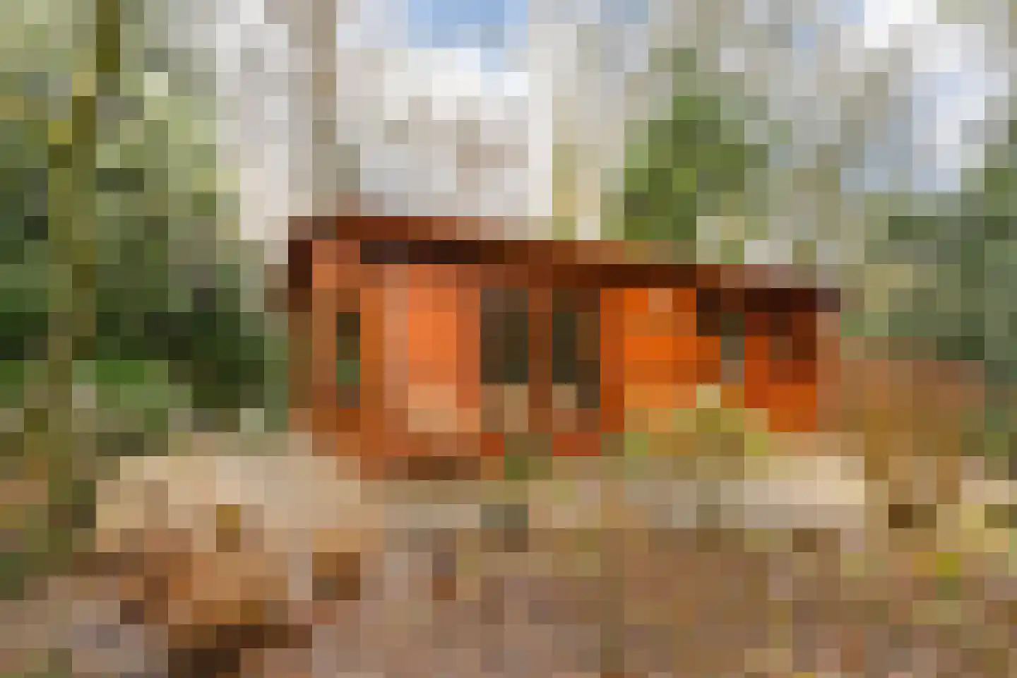 Hooiweg 29 A 38 Garderen thumbnail 4