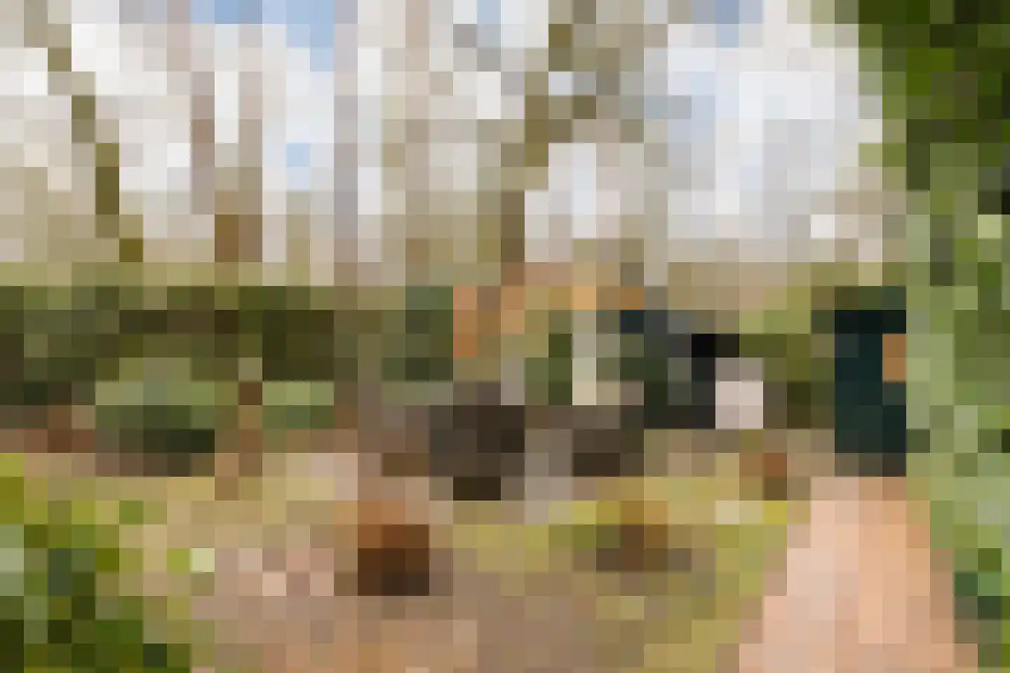 Hooiweg 29 A 38 Garderen thumbnail 6