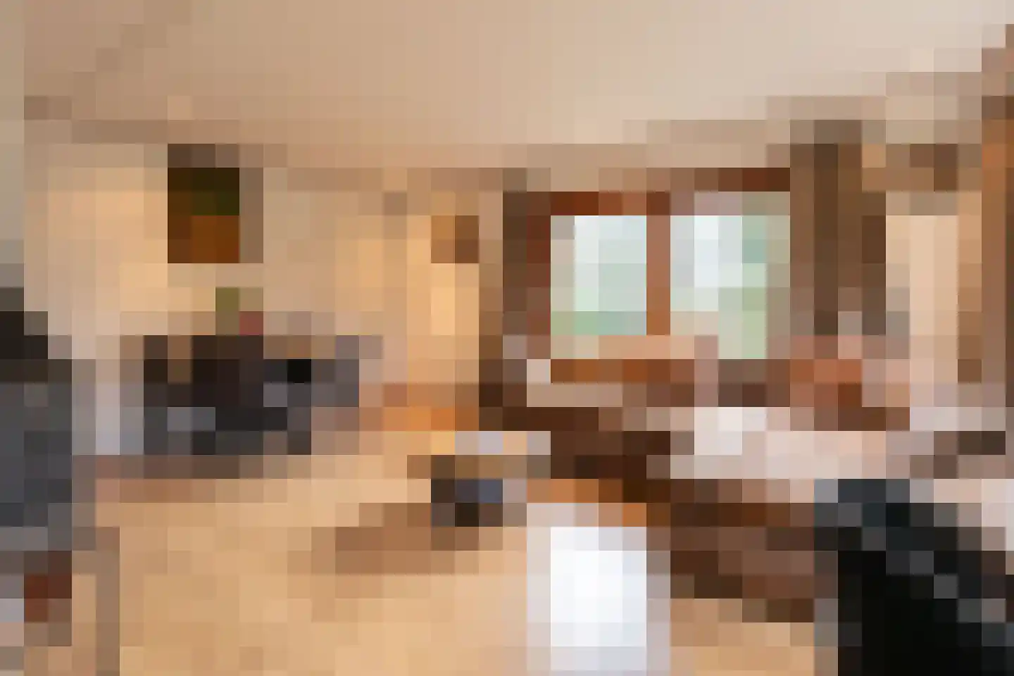 Hooiweg 29 A 38 Garderen thumbnail 8