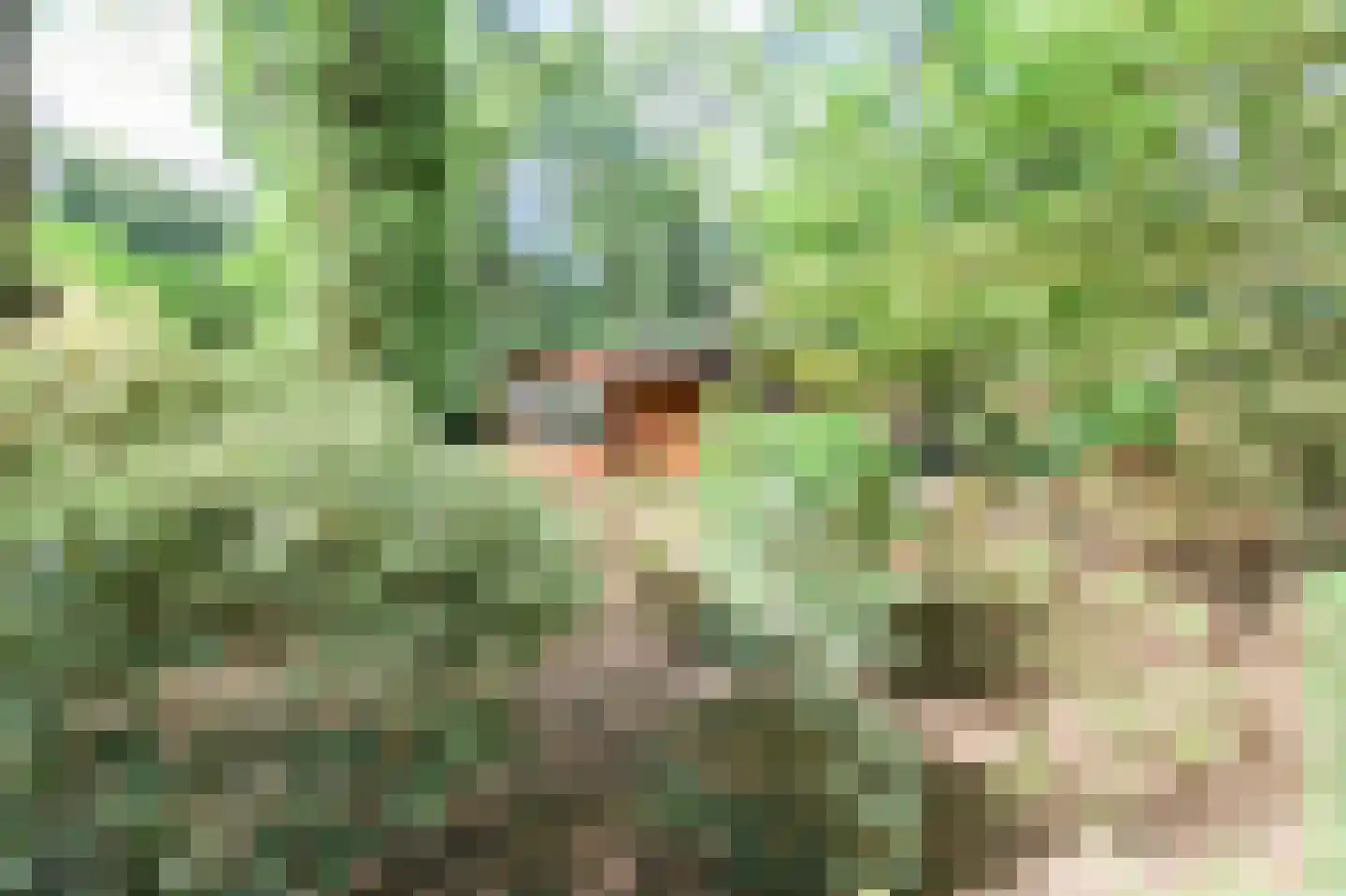 Hooiweg 29 A 44 Garderen thumbnail 32