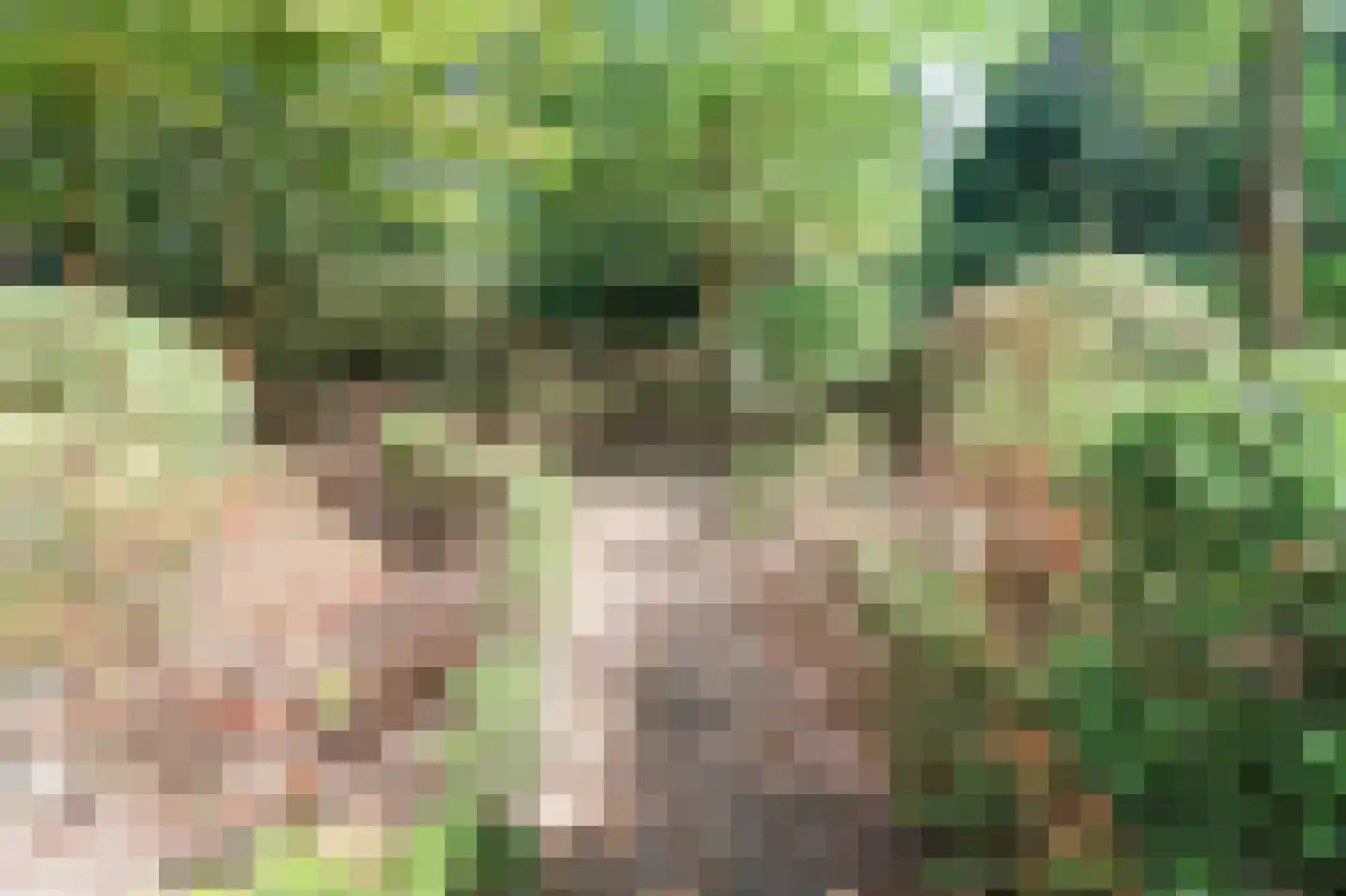 Hooiweg 29 A 44 Garderen thumbnail 35