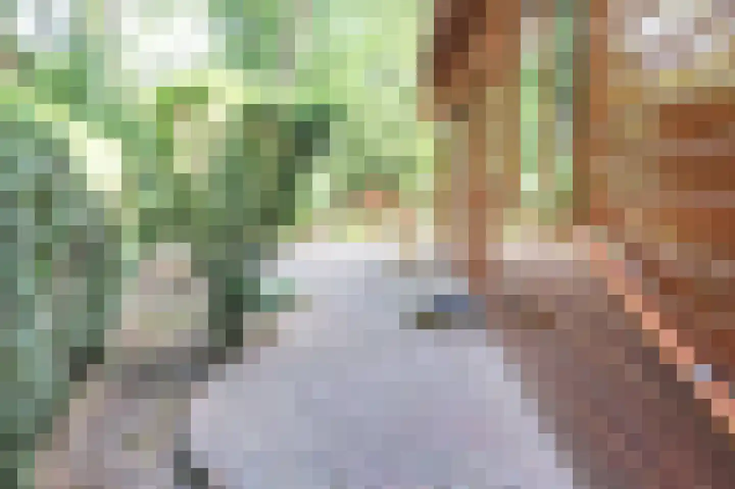 Hooiweg 29 A 44 Garderen thumbnail 42