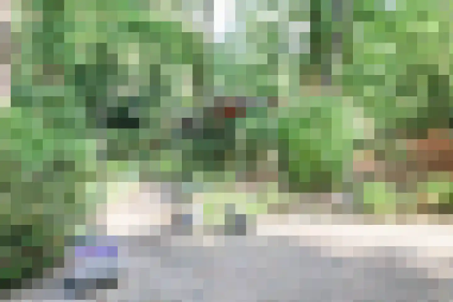Hooiweg 29 A 44 Garderen thumbnail 45
