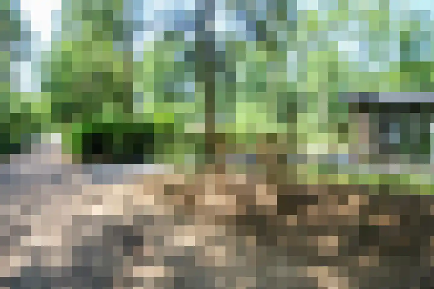 Hooiweg 29 A 52 Garderen thumbnail 35