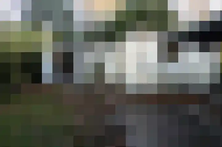Hooiweg 29 A 54 Garderen thumbnail 21
