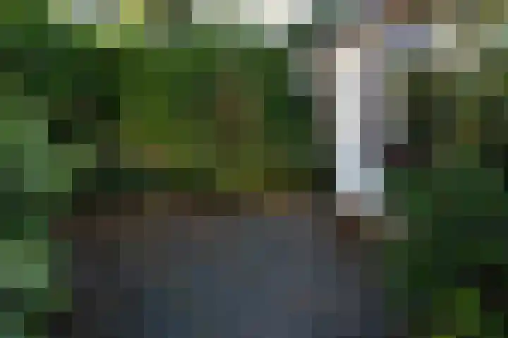 Hooiweg 29 A 54 Garderen thumbnail 24
