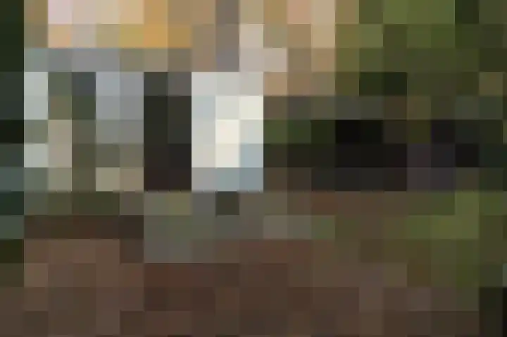 Hooiweg 29 A 54 Garderen thumbnail 25
