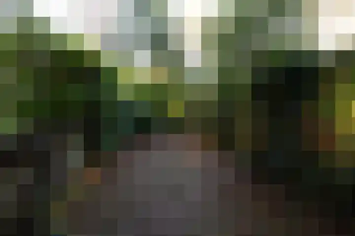 Hooiweg 29 A 54 Garderen thumbnail 26