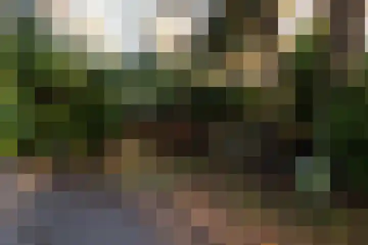 Hooiweg 29 A 54 Garderen thumbnail 27