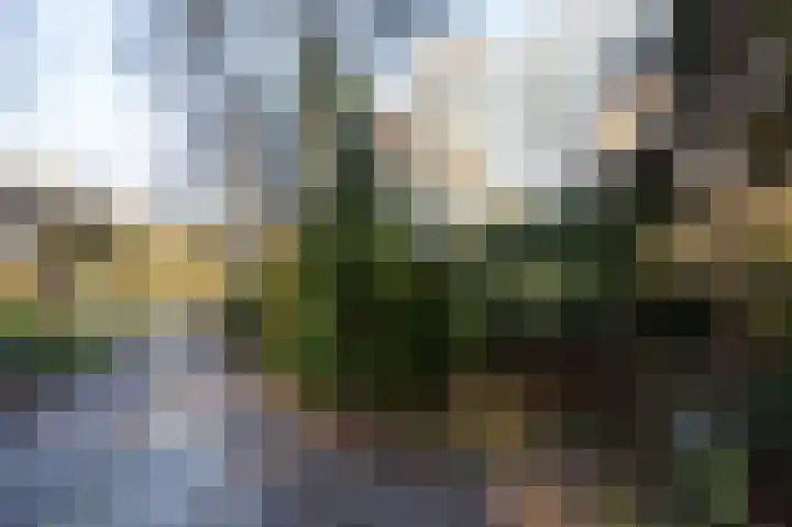 Hooiweg 29 A 54 Garderen thumbnail 28