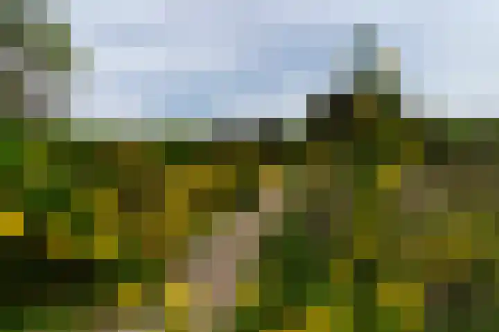 Hooiweg 29 A 54 Garderen thumbnail 33
