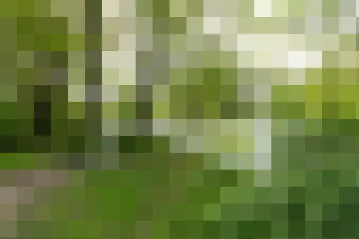 Hooiweg 29 A 54 Garderen thumbnail 34