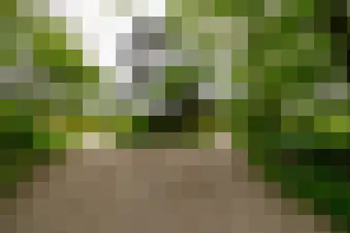 Hooiweg 29 A 54 Garderen thumbnail 35