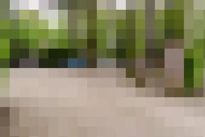 Hooiweg 29 A 54 Garderen thumbnail 38