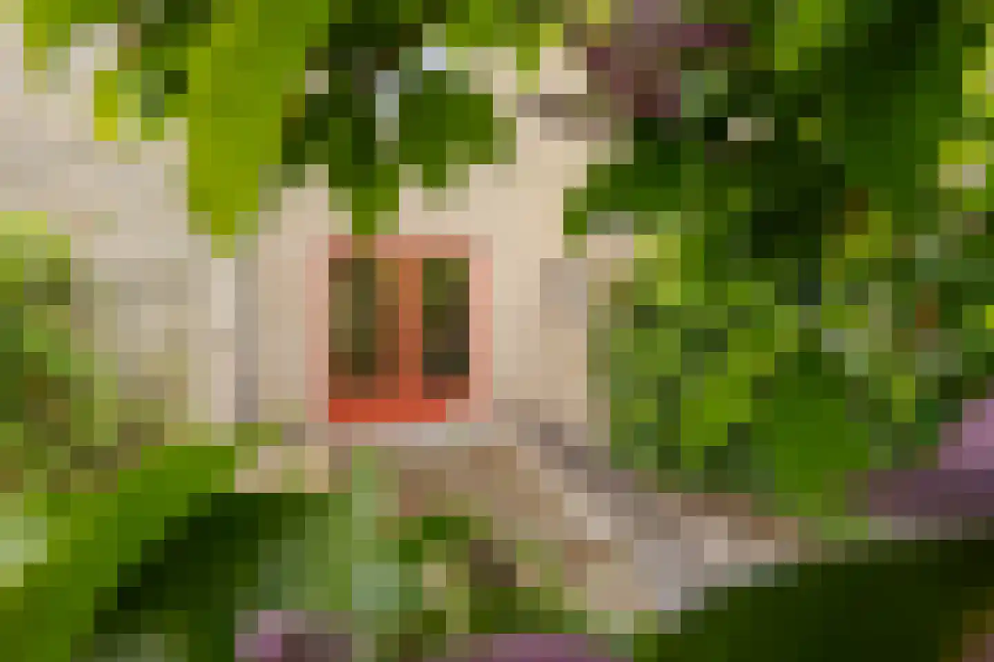 Hooiweg 83 Eelde thumbnail 39