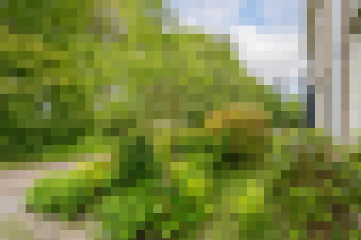 Hooiweg 83 Eelde thumbnail 6