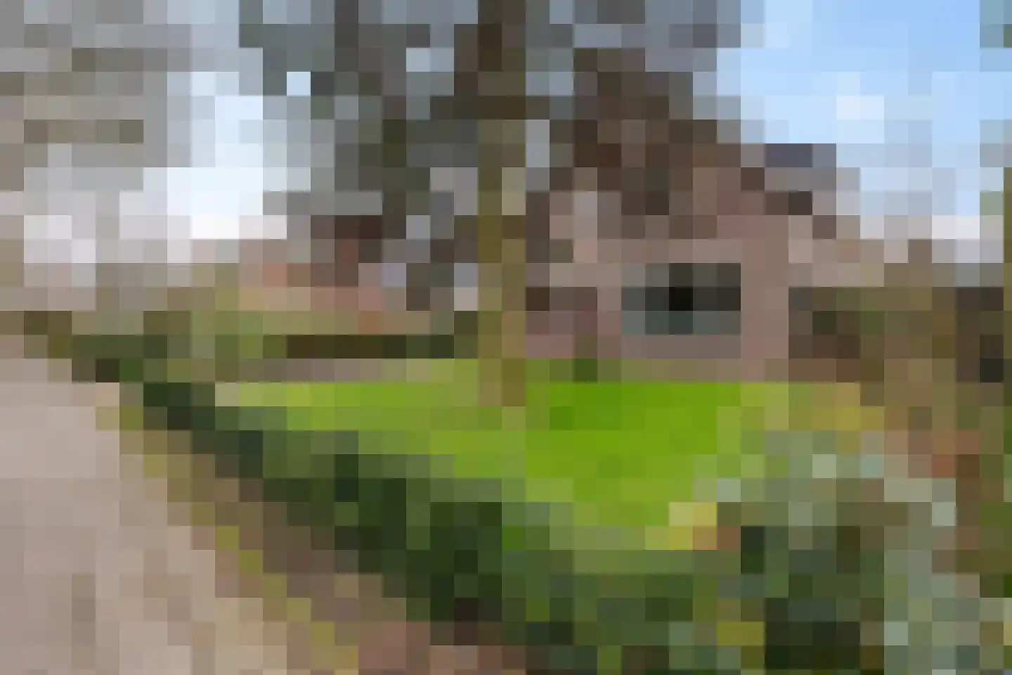 Hooiweg 92 Paterswolde thumbnail 4