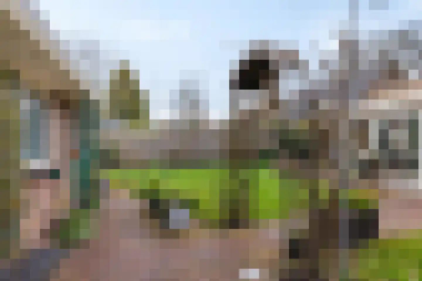 Hooiweg 92 Paterswolde thumbnail 42