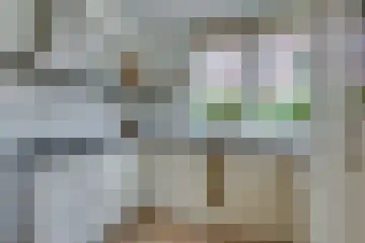 Hooiweide 6 Harfsen thumbnail 10