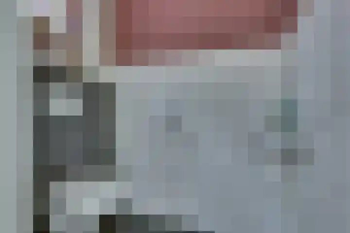Hooiweide 6 Harfsen thumbnail 11