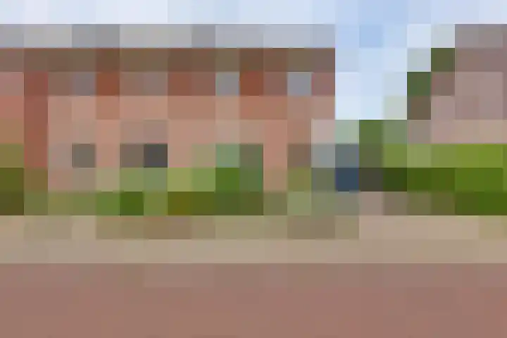 Hooiweide 6 Harfsen thumbnail 27