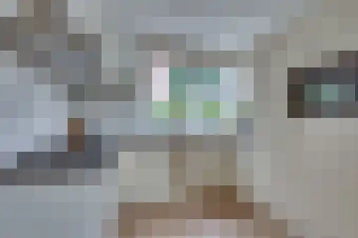 Hooiweide 6 Harfsen thumbnail 9