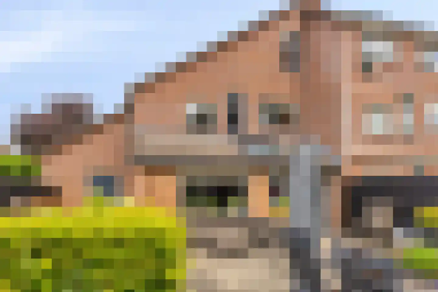 Hooizolder 14 in Oud-Beijerland