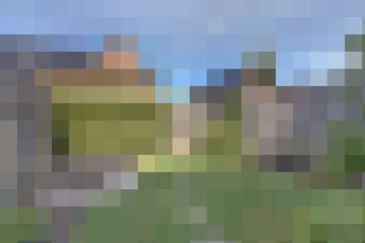 Hooizolder 15 Gouda thumbnail 34