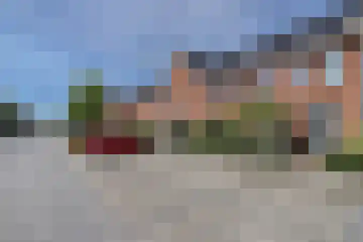 Hooizolder 15 Gouda thumbnail 37