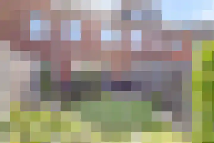 Hooizolder 15 Gouda thumbnail 4