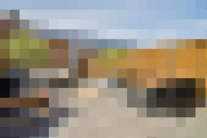 Hooizolder 21 Gouda thumbnail 4