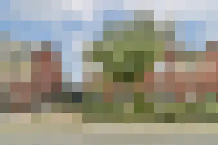 Hooizolder 24 Gouda thumbnail 5