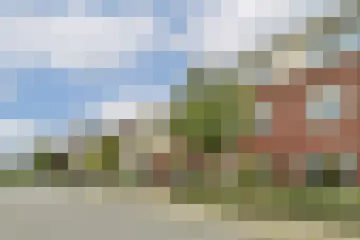 Hooizolder 24 Gouda thumbnail 6
