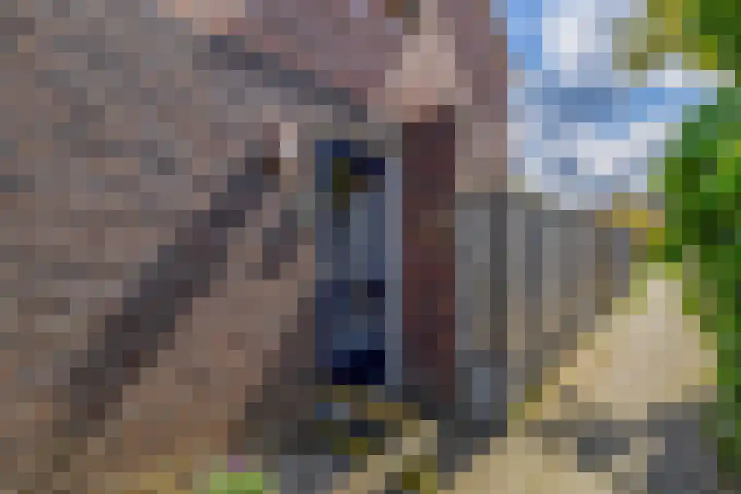 Hooizolder 294 Drachten thumbnail 6