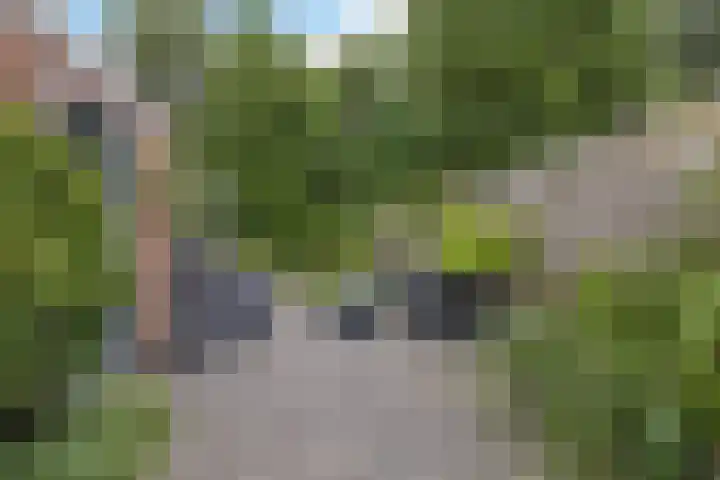 Hooizolder 30 Drachten thumbnail 35