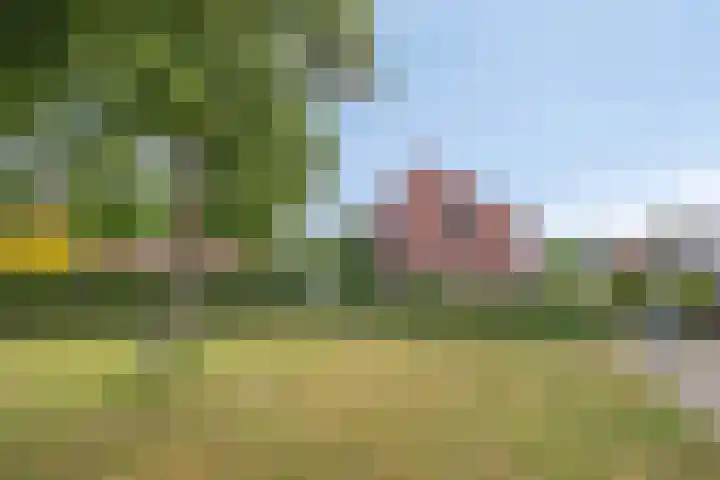 Hooizolder 352 Drachten thumbnail 6